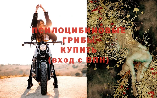 a pvp Пестово