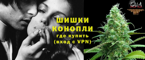 дживик Балахна