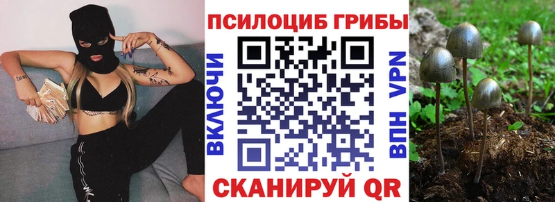 Псилоцибиновые грибы Cubensis  купить закладку  Белозерск 