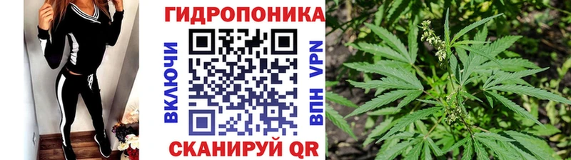 где можно купить   Белозерск  Шишки марихуана индика 